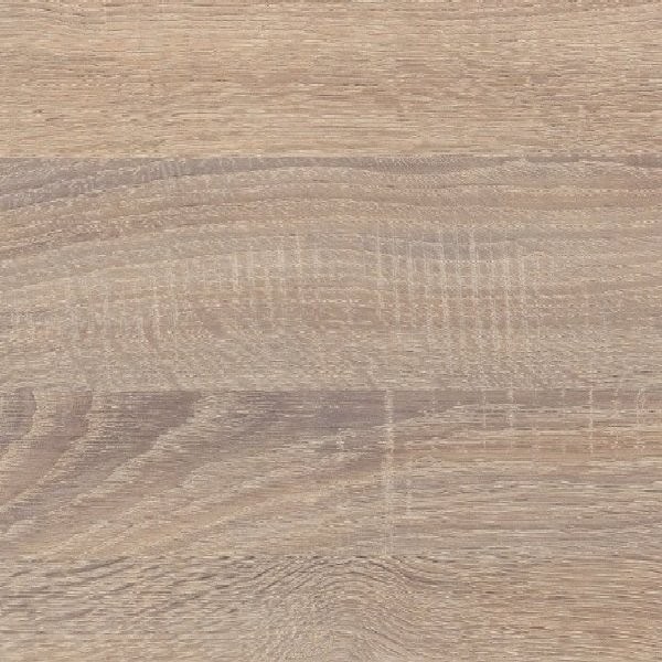 Cambrian Oak